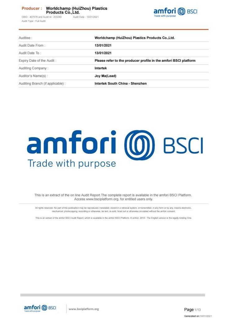 1-BSCI-audit-report-summaryauditreport_00(1)