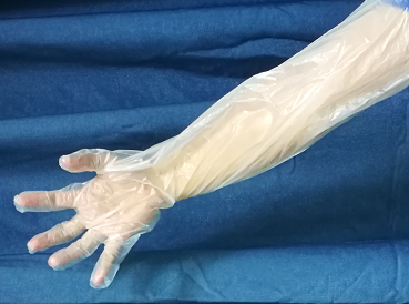 Biologicky odbúrateľné rukavice používané na umelú insemináciu (2)
